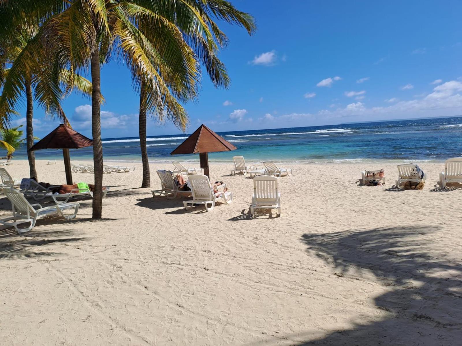 Grand Studio Vue Mer Exceptionnelle, Piscines, Plages. 상트 안느 외부 사진